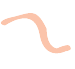 worm